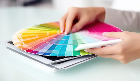 Color Consultation